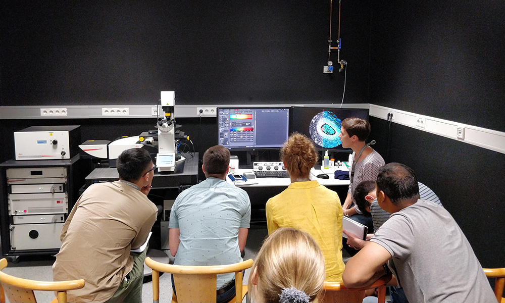 Several scientists lean forward to see computer screen associated with microscope in training course