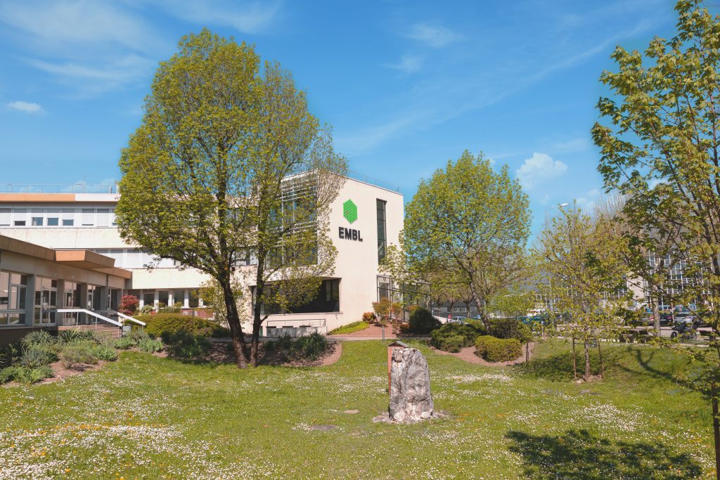 EMBL Grenoble building in the sun