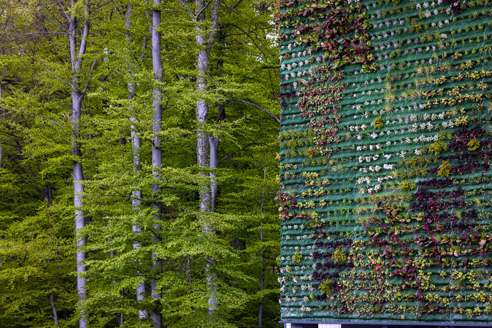 parking garage with plants growing all along its side, next to tall trees