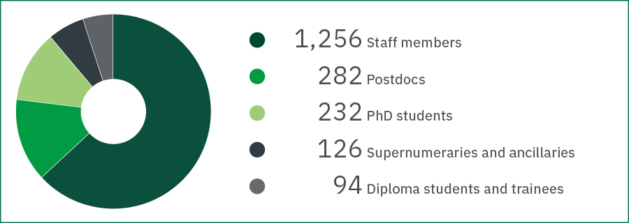Pie chart showing: Personnel categories in 2025		
1256 Staff members	
282 	Postdocs	
232	PhD students	
126	Supernumeraries and ancillaries	
94	Diploma students and trainees 