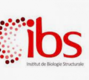 IBS Grenoble