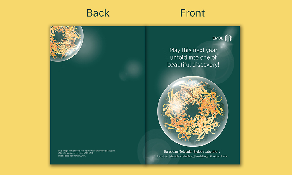 Protein structure