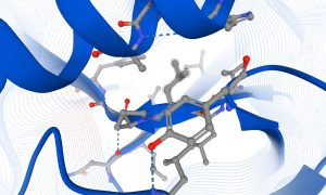 AlphaFold protein structure prediction showing detail of chemical elements.