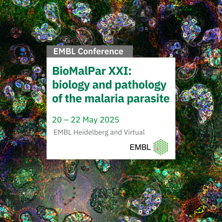 Parasite Course BioMalPar XXI: biology and pathology of the malaria parasite – Course ...