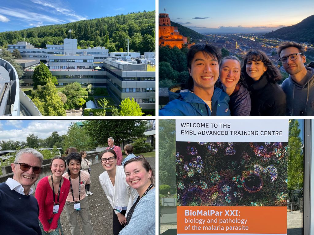 collage of four pictures: left to right, top to bottom - EMBL main building, Alessia and her 3 friends at a view point in Heidelberg castle, Alessia and four other delegates during the conference standing outside of the building, welcome banner with the conference branding