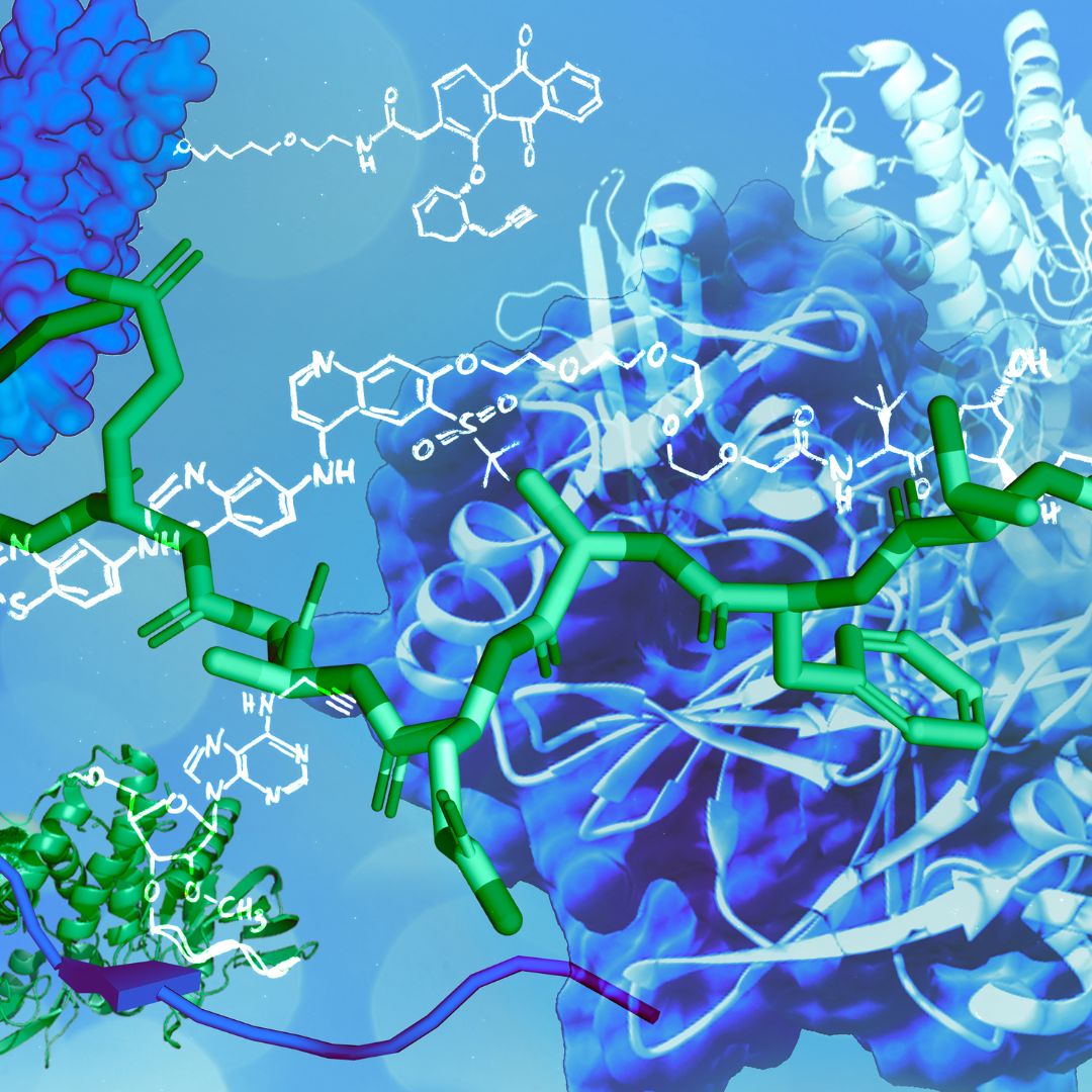 best-poster-prizes-at-chemical-biology-2024