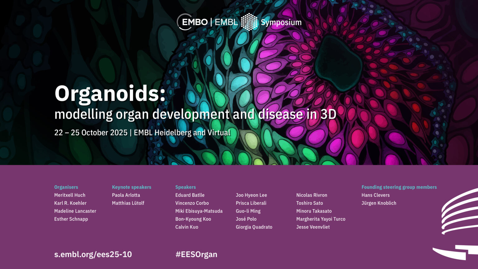 The EMBO | EMBL Symposium ‘Organoids: modelling organ development and ...