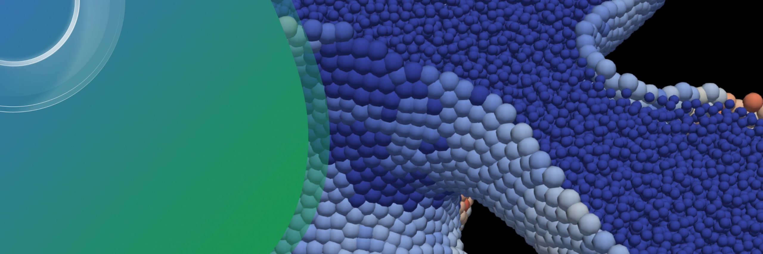 Computational modelling of multicellular systems – Course and ...