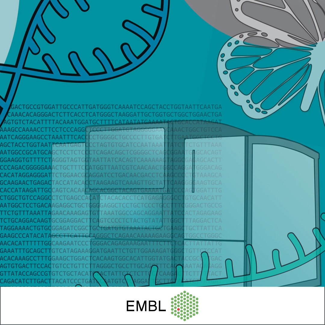 Embark and VetBloom Collaborate to Create Inaugural Canine Genomics  E-Learning Courses