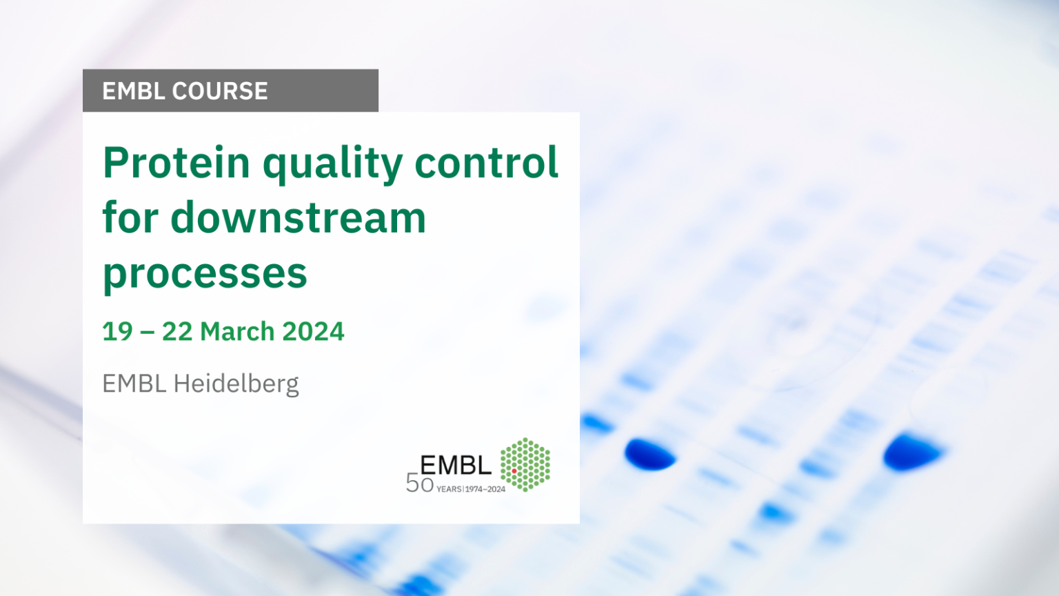 Protein quality control for downstream processes – Course and ...