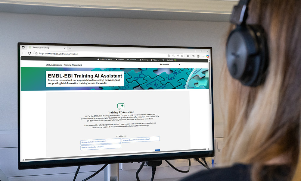 A user looks at a computer screen showing the 'EMBL-EBI Training AI Assistant' webpage.
