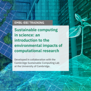 Sustainable computing in science: an introduction to the environmental impacts of computational research