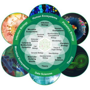 EMBL's transversal themes