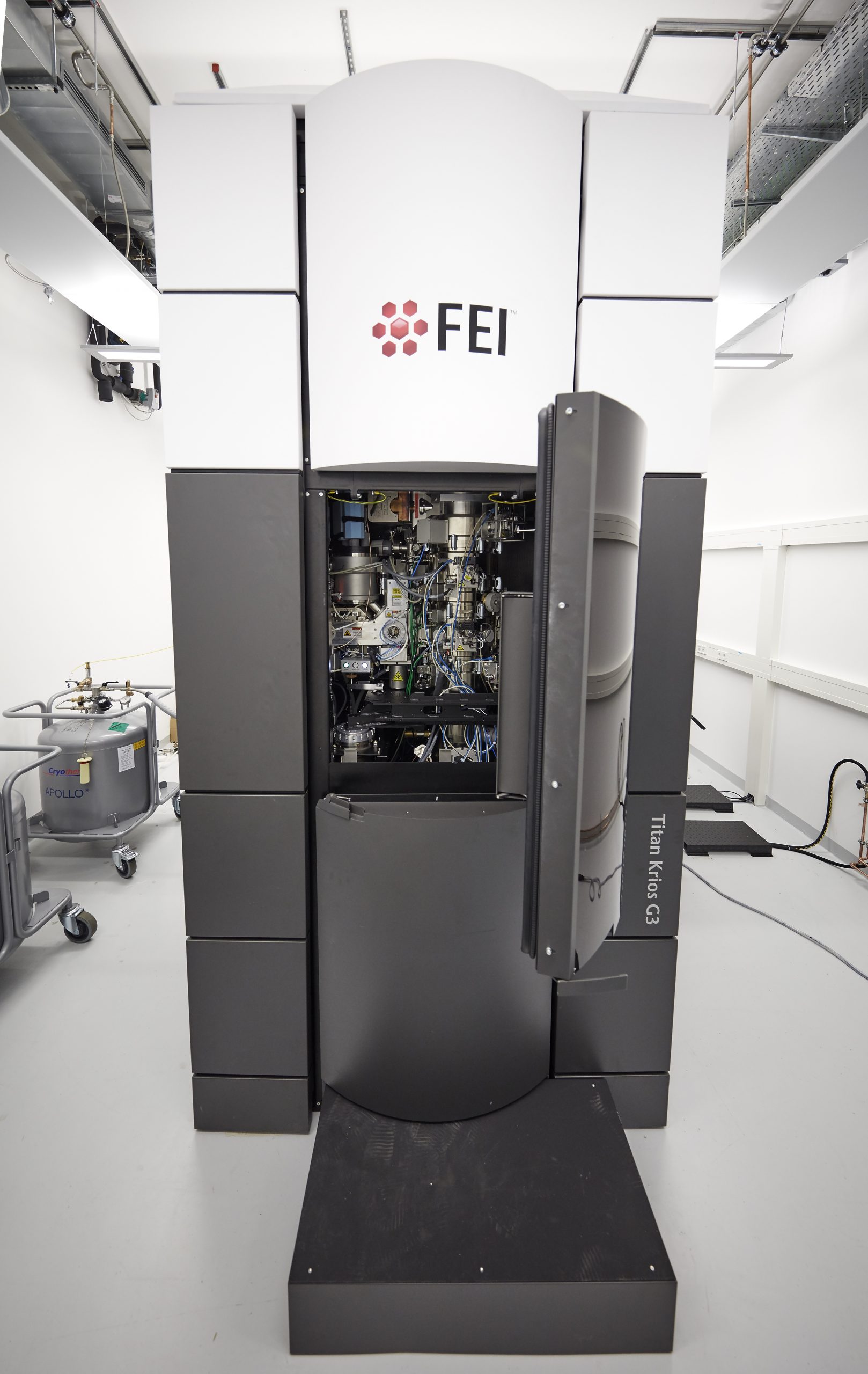 Cryo-Electron Microscopy – EMBL Imaging Centre