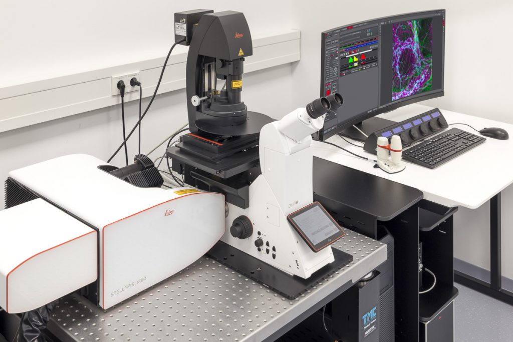 Credit: Stuart Ingham/EMBL.