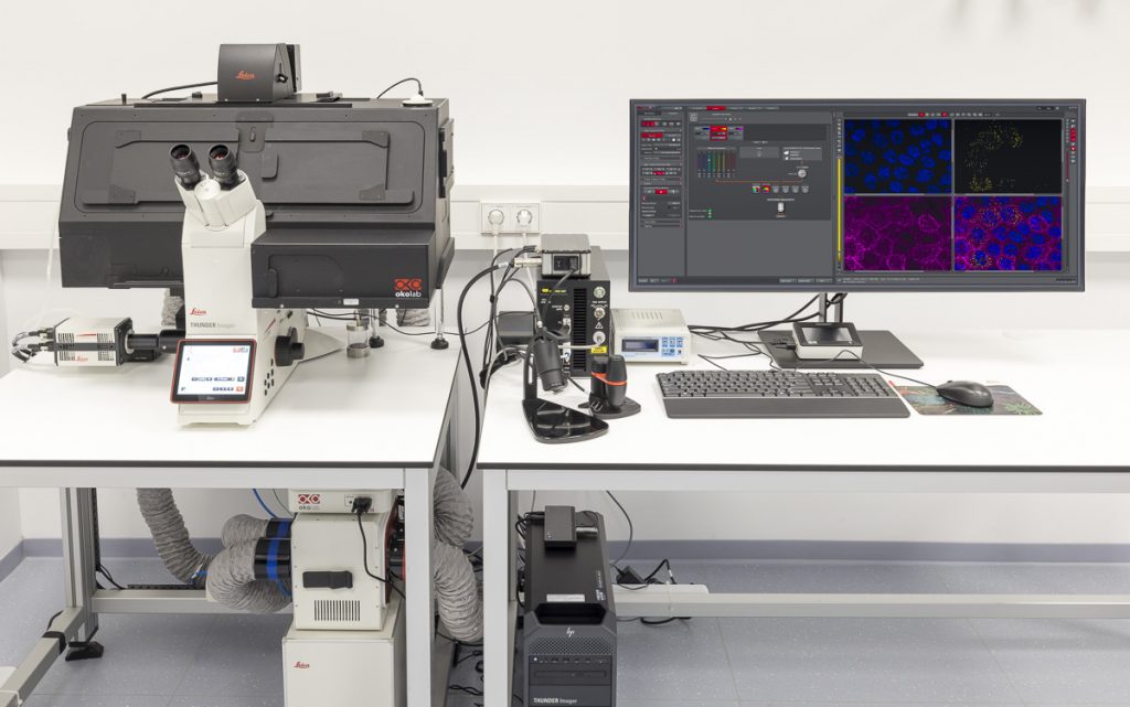 Credit: Stuart Ingham/EMBL.