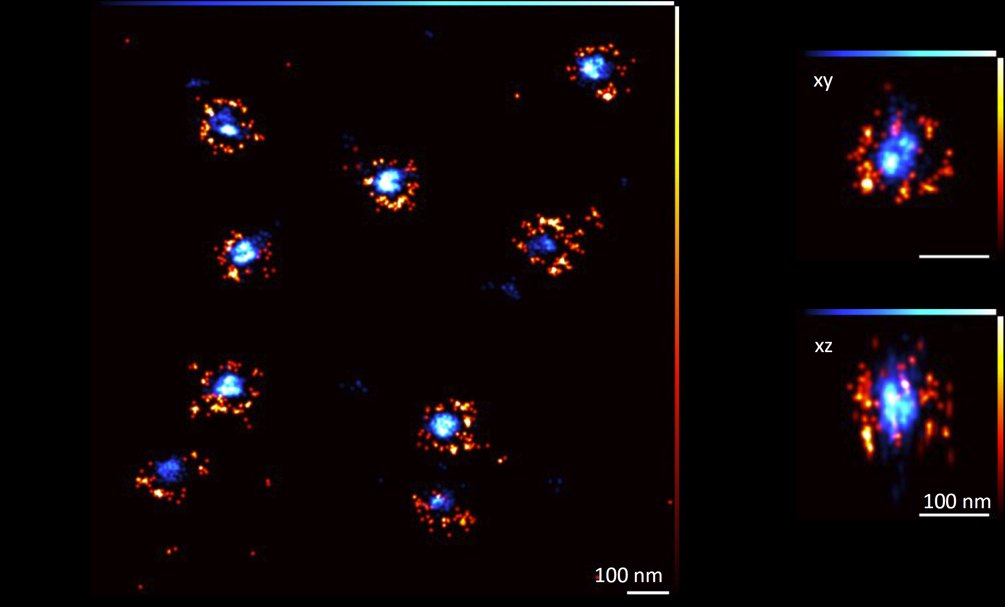 Credit: Merle Hantsche-Grininger/EMBL