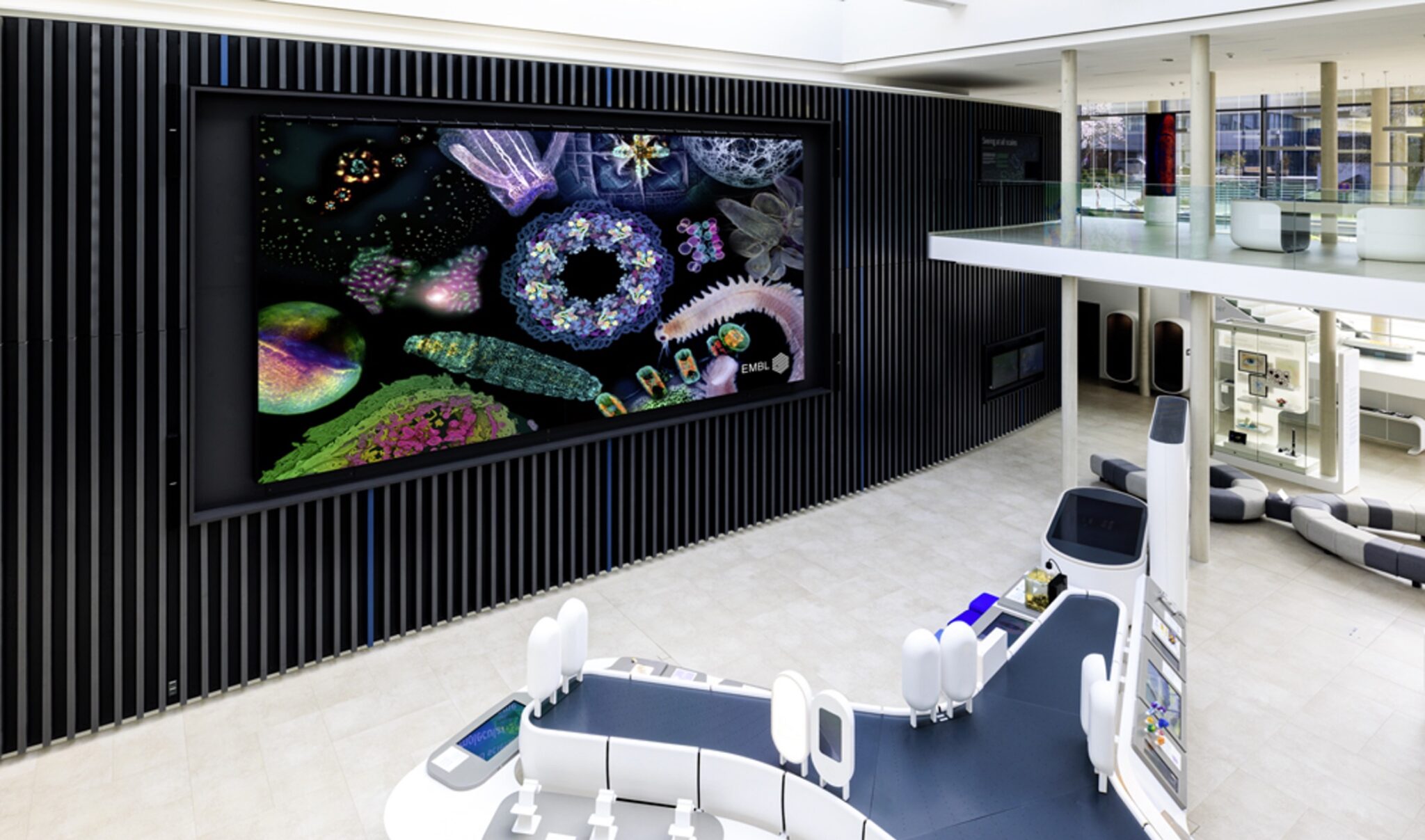 Credits: Holly Joynes/EMBL