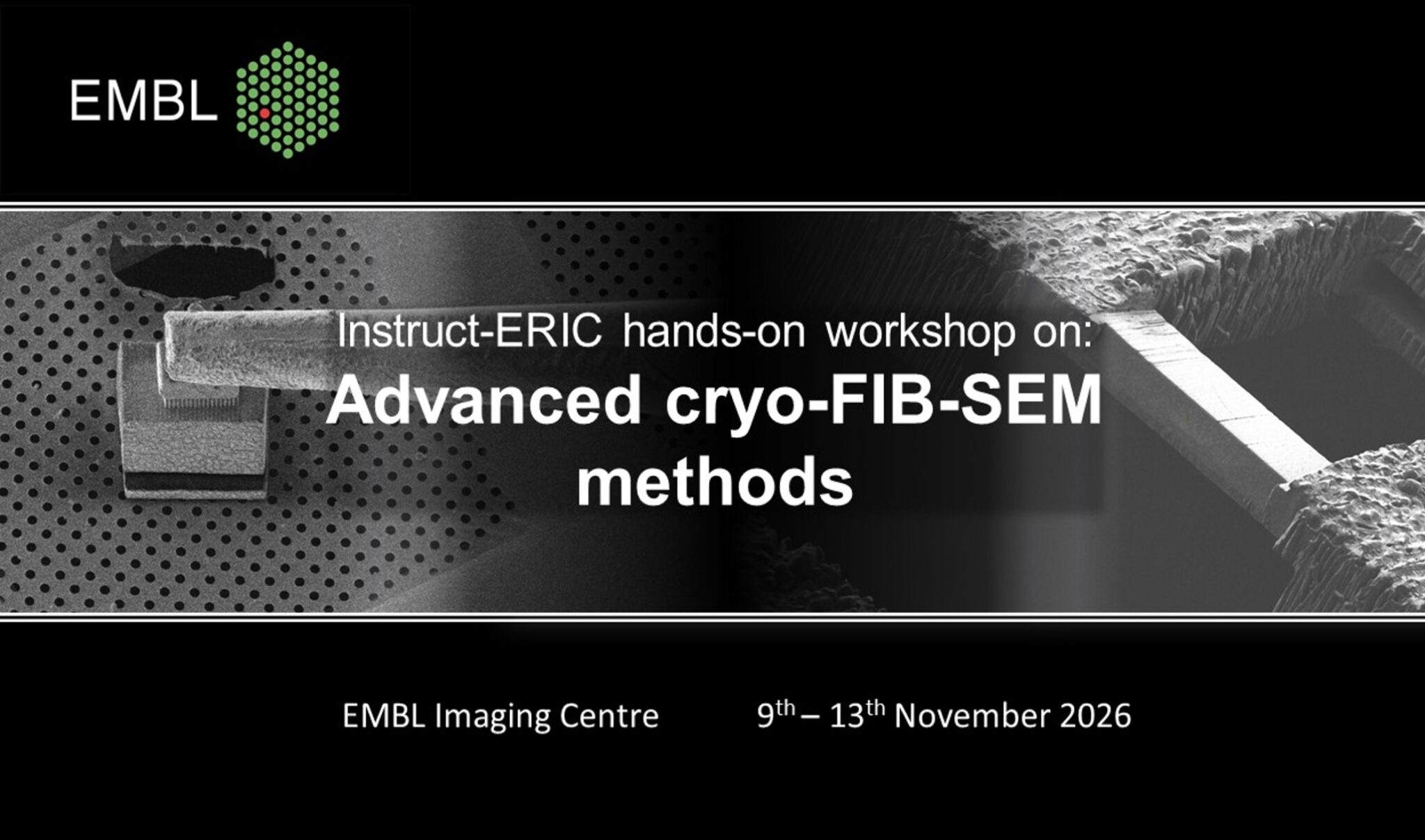 EMBL Imaging Centre – Open access to cutting-edge electron and light ...