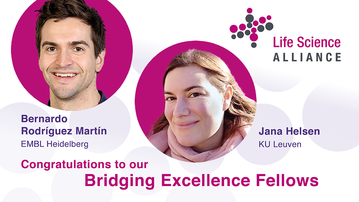 Inaugural Bridging Excellence Fellows