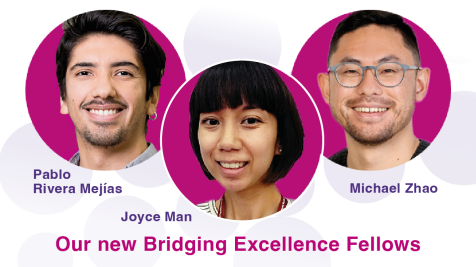 New Bridging Execellence Fellows