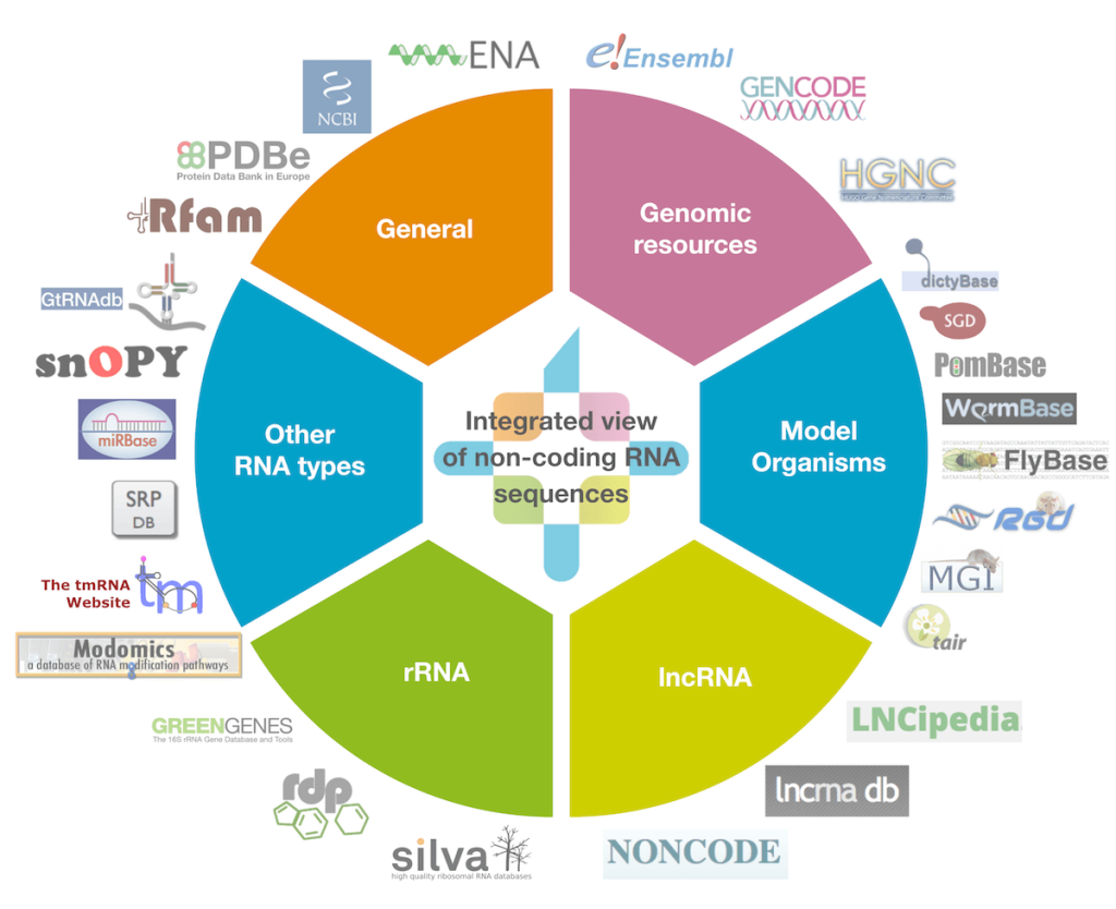 Logo RNA central database