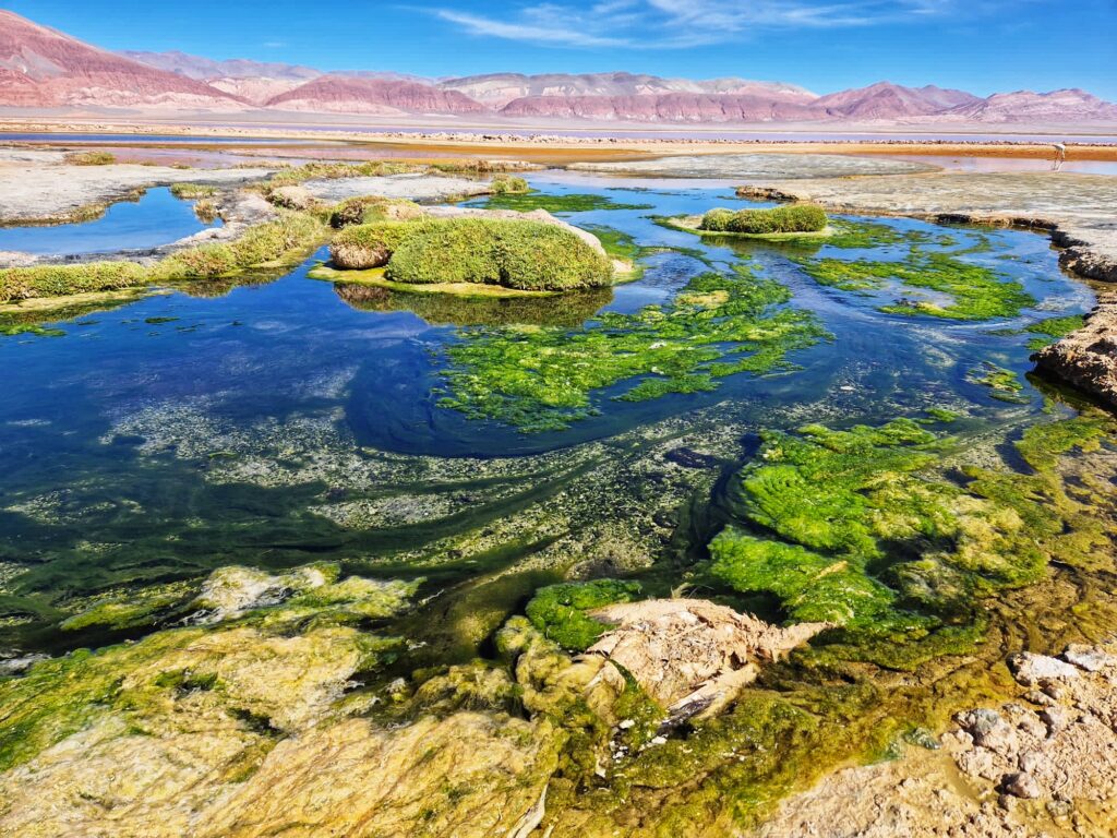Picture of Argentinian Andes by Maria Garcia-Alai