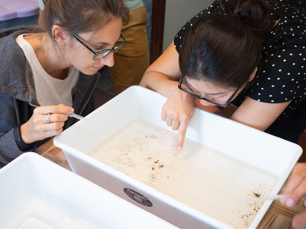 People collecting sea water samples off the coast of Naples during a project to pilot the TREC expedition in 2019.