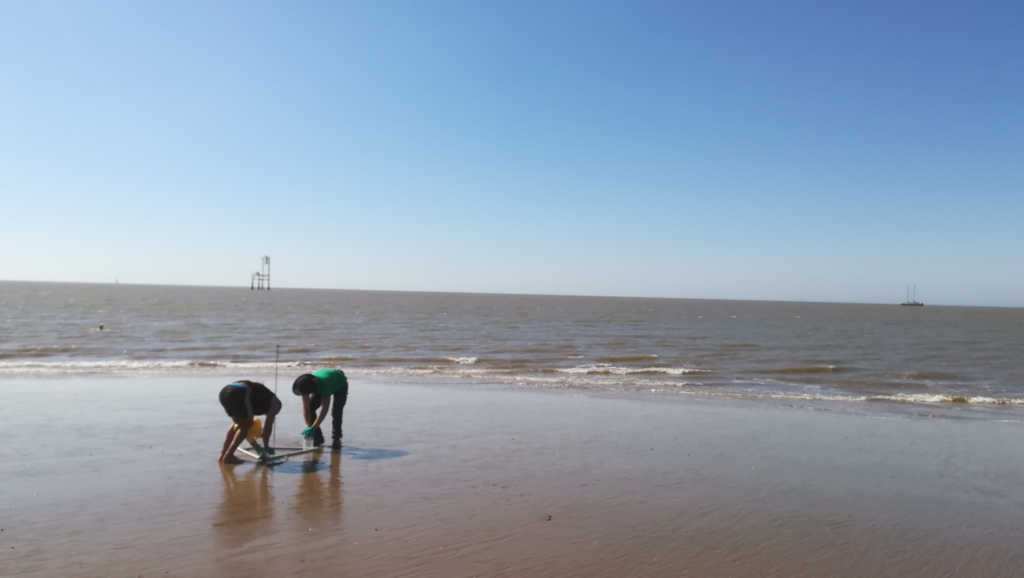 Scientists sampling esturine sediments with a blie sky and sea in the background as well as the tara vessel and a lighthouse 