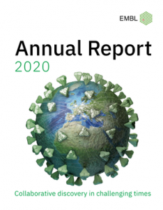 annual report cover