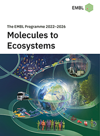 EMBL Programme 2022–2026 cover image