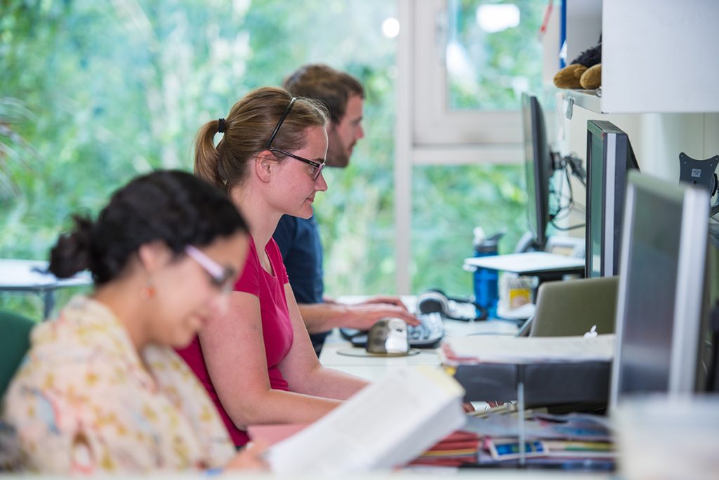 Man and women working at computers in the South Building.