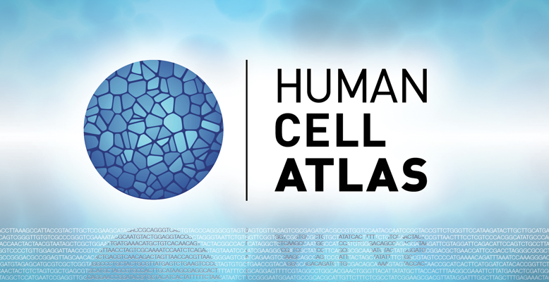 Human Cell Atlas logo