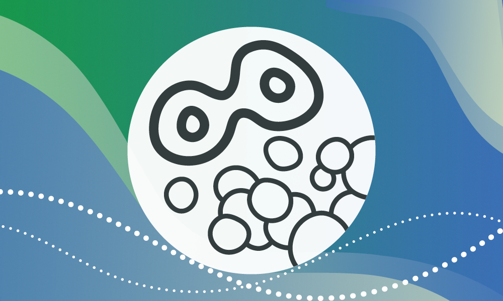 a symbol of a highlighted dividing cell among other cells representing the cancer theme of the exhibition