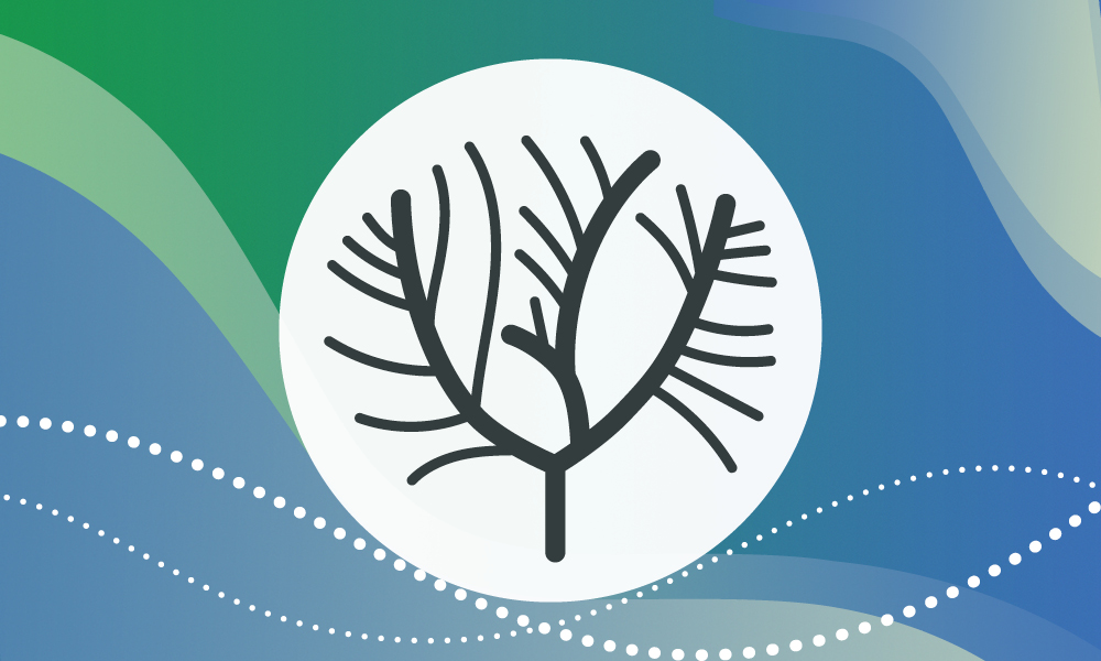 a symbol of a sprouting tree representing the evolution theme of the exhibition