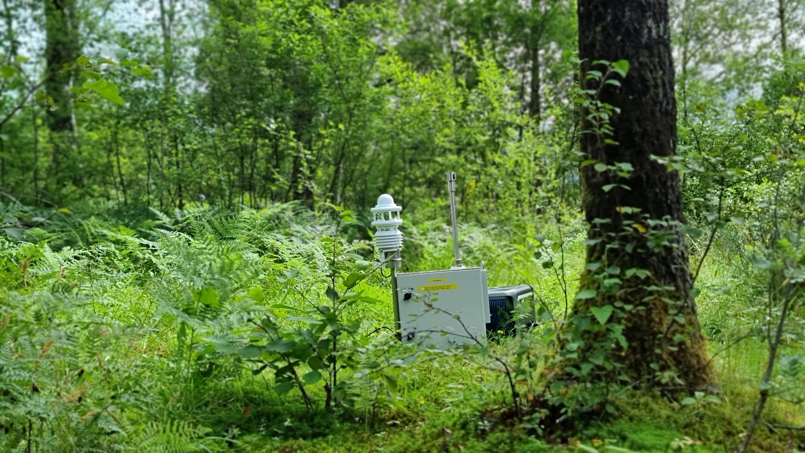 Simultaneously, a particle counter is set up in the middle of the site and allowed to run throughout the sampling day. It records the speed and direction of wind along with the amount of particles in the air. Gleichzeitig wird in der Mitte des Geländes ein Partikelzähler aufgestellt, der während des gesamten Tages, an dem die Proben genommen werden, in Betrieb ist. Er zeichnet die Windgeschwindigkeit und - richtung, sowie die Menge der Partikel in der Luft auf.