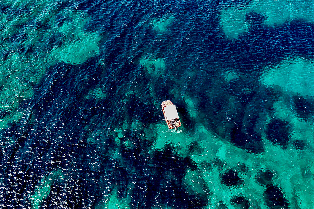 On a plankton sampling day, the scientists go out by boat twice a day - once in the morning and once in the afternoon - to sample microplankton at pre-selected sampling sites. This allows the scientists to study fluctuations in plankton levels throughout the day. An einem Tag, an dem Planktonproben genommen werden, fahren die WissenschaftlerInnen zweimal am Tag mit dem Boot hinaus um an vorher ausgewählten Stellen Proben von Mikroplankton zu nehmen - einmal morgens und einmal am Nachmittag. Dadurch können die WissenschaftlerInnen Schwankungen der Planktonmenge im Laufe des Tages untersuchen.