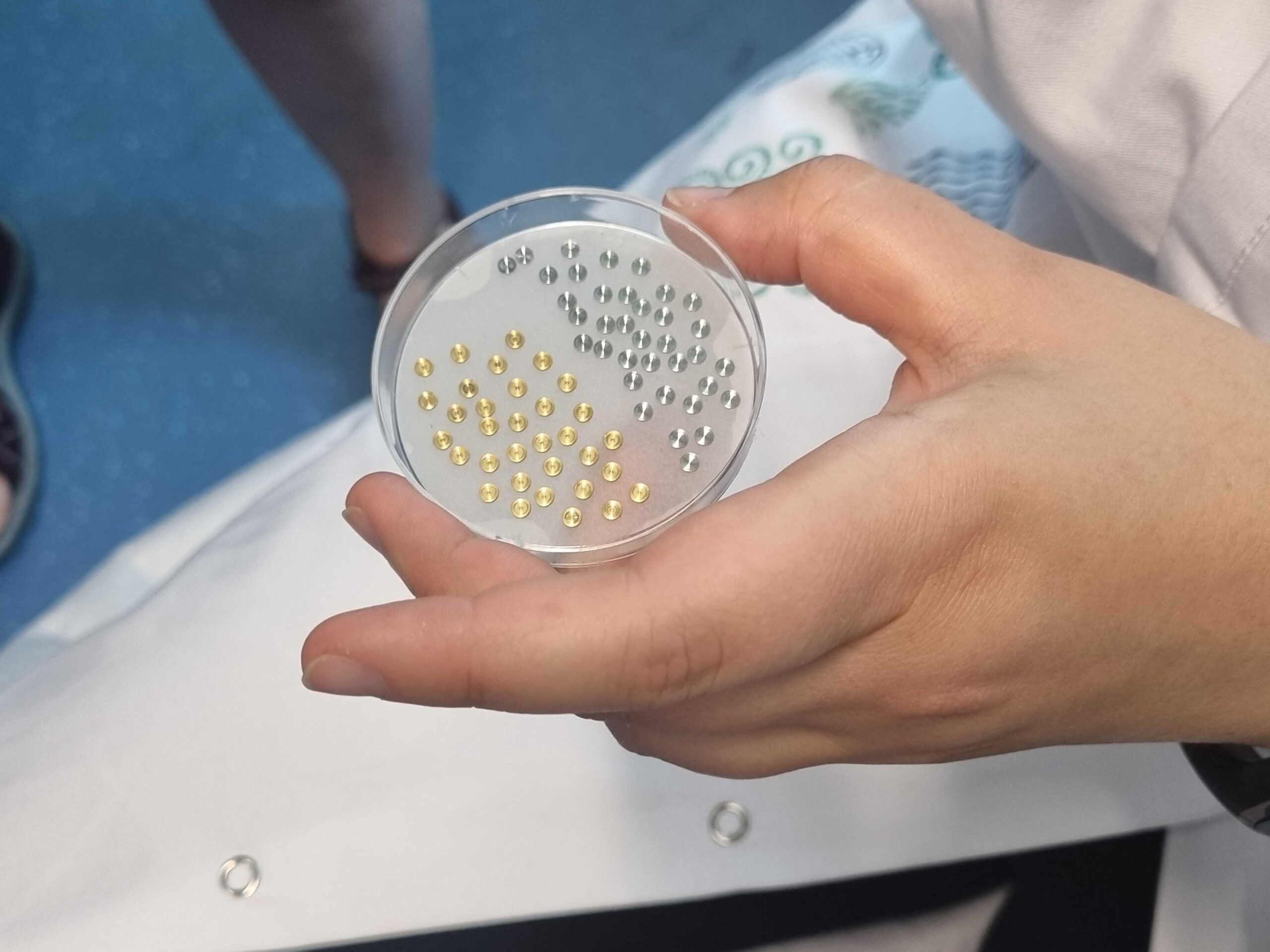 Further analyses can include looking closer at the plankton using high-resolution electron microscopes. To prepare the samples for this type of microscopy, they have to be quickly deep-frozen as any water in a sample would evaporate once the electron beam of the electron microscope hits it, hence destroying the sample. If a sample is frozen too slowly, ice crystals are able to form that can also destroy the structure of the sample. To achieve rapid deep-freezing, the plankton samples are therefore loaded on small metal sample holder discs and then inserted into a robot that plunges them into ethane cooled by liquid nitrogen with a temperature of -196°C. This freezes the sample so fast that no ice crystals form. Weitere Analysen können darin bestehen, das Plankton mit hochauflösenden Elektronenmikroskopen näher zu betrachten. Um die Proben für diese Art der Mikroskopie vorzubereiten, müssen sie in kurzer Zeit tiefgefroren werden, da jegliches Wasser in einer Probe verdampfen würde, sobald der Elektronenstrahl des Elektronenmikroskops auf sie trifft, was die Probe zerstören würde. Wird die Probe zu langsam eingefroren, können sich Eiskristalle bilden, die ebenfalls die Struktur der Probe zerstören können. Um ein schnelles Tiefgefrieren zu erreichen, werden die Planktonproben auf kleine metallische Scheiben geladen und dann in einen Roboter eingesetzt. Dieser taucht die Scheiben in Ethan, das mit flüssigem Stickstoff auf eine Temperatur von -196°C heruntergekühlt wird. Dadurch gefriert die Probe so schnell, dass sich keine Eiskristalle bilden.