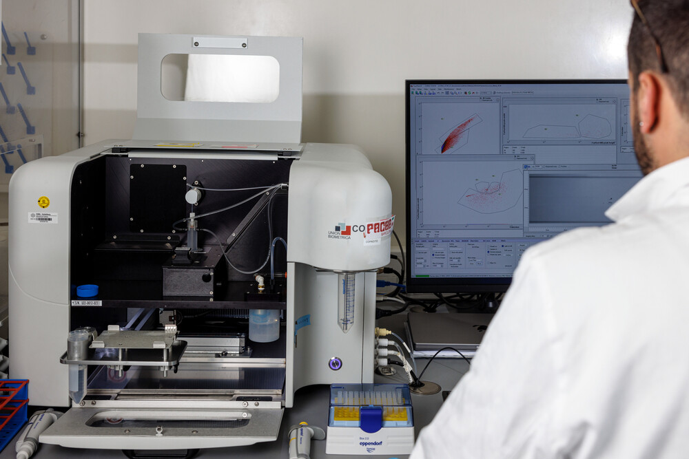 Because there are different types of plankton in one sample, researchers need to find the organisms they are interested in. Cell sorters like the COPAS can help the scientists to isolate the plankton species of interest. Da in einer Probe verschiedene Arten von Plankton vorkommen, müssen die Forscher die Organismen finden, die für sie interessant sind. Zellsortierer wie der COPAS können den WissenschaftlerInnen helfen, die Planktonarten zu isolieren, die sie genauer betrachten wollen.