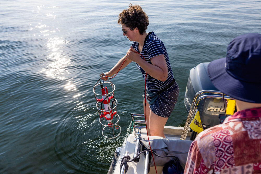 Once arrived at the sampling site, the CTD, a device measuring water salinity, depth, temperature and chlorophyll concentration is released into the ocean. The measured chlorophyll concentration tells the scientists where the phytoplankton they plan to collect are living, as they contain chlorophyll. The other measures tell the scientists more about the environment the microplankton is living in. Together, this information gives the scientists a proxy for where to best sample in the water column. An der Probenahmestelle angekommen, wird das CTD, ein Gerät zur Messung des Salzgehalts, der Tiefe, der Temperatur und der Chlorophyllkonzentration des Wassers, ins Meer gelassen. Die gemessene Chlorophyllkonzentration verrät den WissenschaftlerInnen, wo das Phytoplankton lebt, das sie sammeln wollen, da dieses Chlorophyll enthält. Die anderen Messwerte verraten den WissenschaftlerInnen mehr über die Umgebung, in der das Mikroplankton lebt. Zusammengenommen geben diese Informationen den WissenschaftlerInnen einen Anhaltspunkt dafür, in welcher Tiefe sie am besten Proben nehmen sollten.