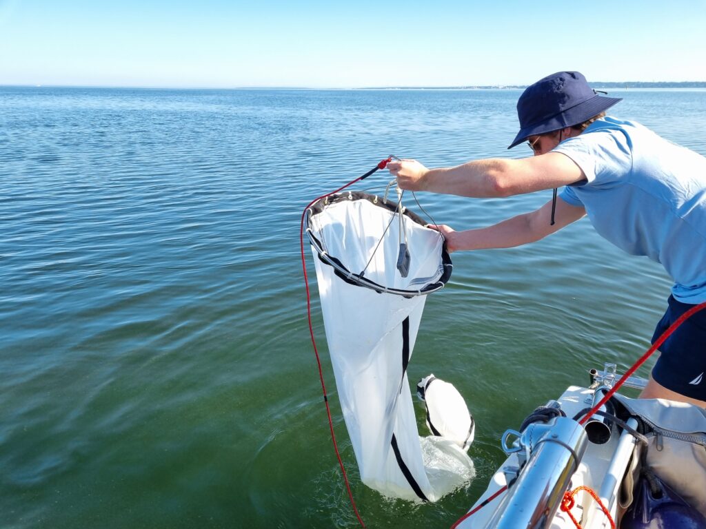 After deciding on the best sampling depth, a sampling net is released into the water to the sampling depth. The holes in the net have a defined size to filter out everything that is not of interest while the net is being pulled through the water. The rest travels to the back of the net and is collected in a plastic container there. Nachdem die Tiefe bestimmt wurde, in der die Proben genommen werden, wird ein Netz ins Wasser auf Probentiefe herabgelassen. Die Löcher dieses Netzes haben eine bestimmte Größe, um alles herauszufiltern, was nicht von Interesse ist, während es durch das Wasser gezogen wird. Der Rest wandert zum hinteren Teil des Netzes und wird dort in einem Plastikbehälter aufgefangen.