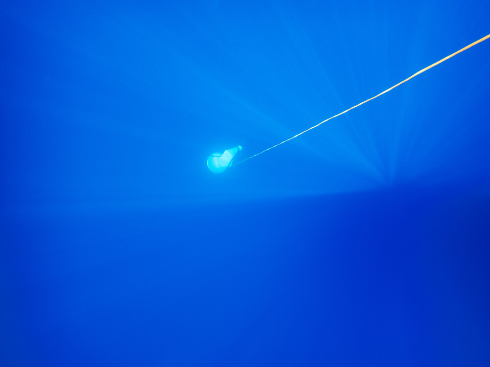 After deciding on the best sampling depth, a sampling net is released into the water to the sampling depth. The holes in the net have a defined size to filter out everything that is not of interest while the net is being pulled through the water. The rest travels to the back of the net and is collected in a plastic container there. Nachdem die Tiefe bestimmt wurde, in der die Proben genommen werden, wird ein Netz ins Wasser auf Probentiefe herabgelassen. Die Löcher dieses Netzes haben eine bestimmte Größe, um alles herauszufiltern, was nicht von Interesse ist, während es durch das Wasser gezogen wird. Der Rest wandert zum hinteren Teil des Netzes und wird dort in einem Plastikbehälter aufgefangen.