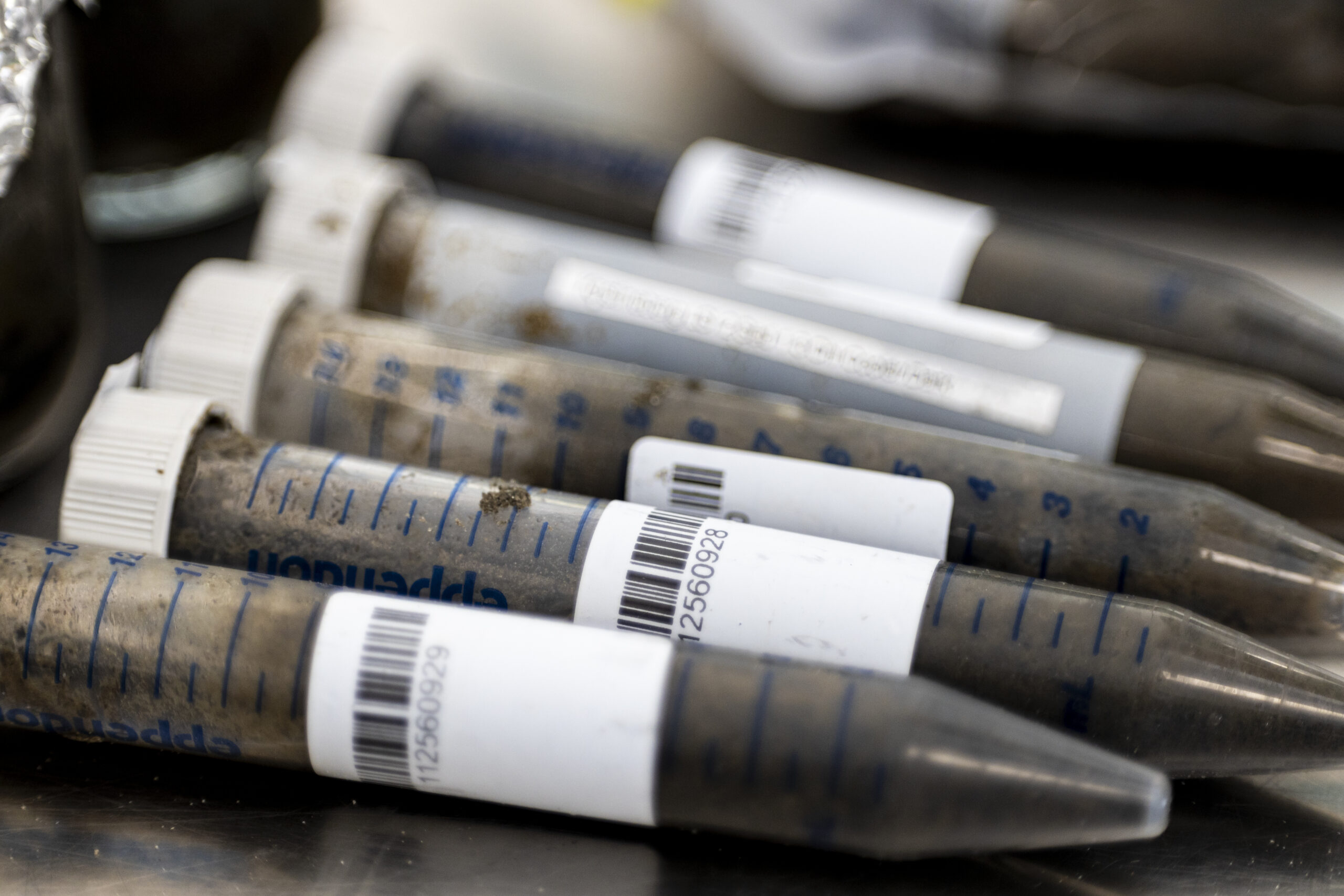 The right storage conditions are important to not falsify the results of later analyses in the lab, where samples have to be shipped to. However, some sensitive analyses like ion measurements were directly done on site in the samples processing lab. Die richtigen Lagerbedingungen sind wichtig, um die Ergebnisse späterer Analysen im Labor, zu dem die Proben transportiert werden müssen, nicht zu verfälschen. Einige empfindliche Analysen, wie z.B. Ionenmessungen, werden jedoch direkt vor Ort im Probenverarbeitungslabor durchgeführt.