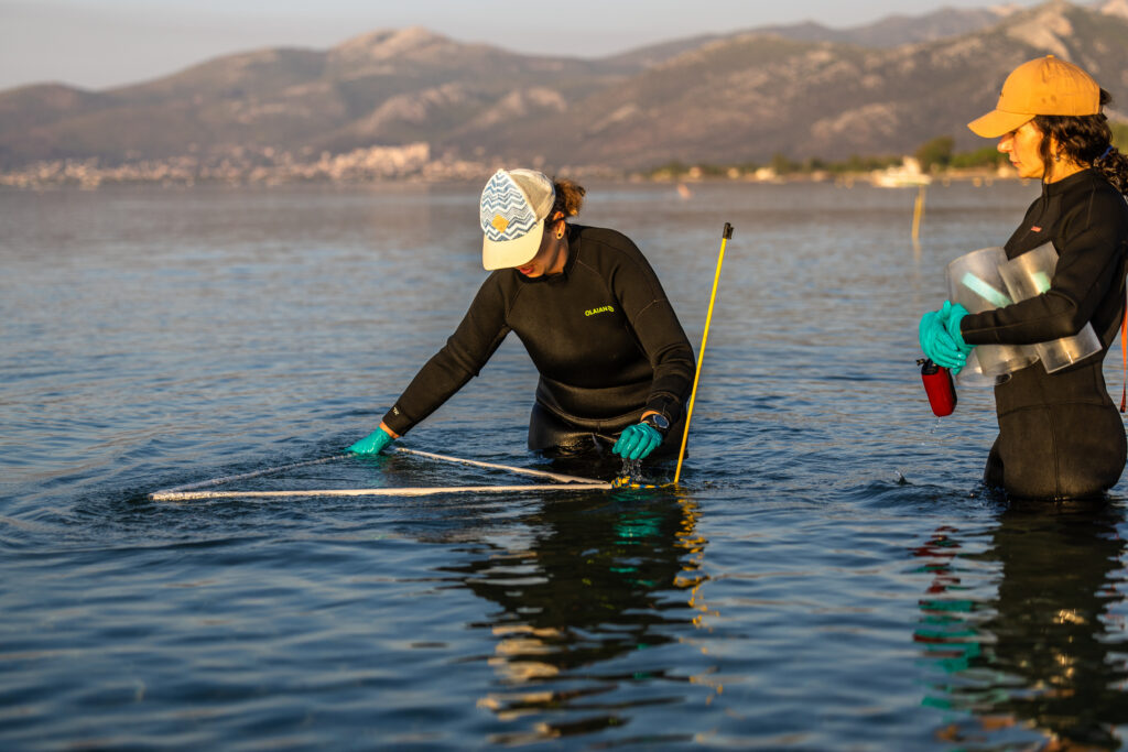 Sediment samples are taken ideally in waist-high water or - when conditions did not allow a sampling there - on the beach. The latter happens mostly in areas without tides like in the Mediterranean Sea. In areas with tides like the Baltic Sea, sample collection happens just before low tide. Sedimentproben werden idealerweise in hüfthohem Wasser oder - falls die Bedingungen eine Probenahme dort nicht möglich machen - am Strand genommen. Letzteres passiert meist in Gebieten ohne Gezeiten wie im Mittelmeer. In Gebieten mit Gezeiten wie z.B. der Ostsee erfolgt die Probenahme kurz vor der Ebbe.