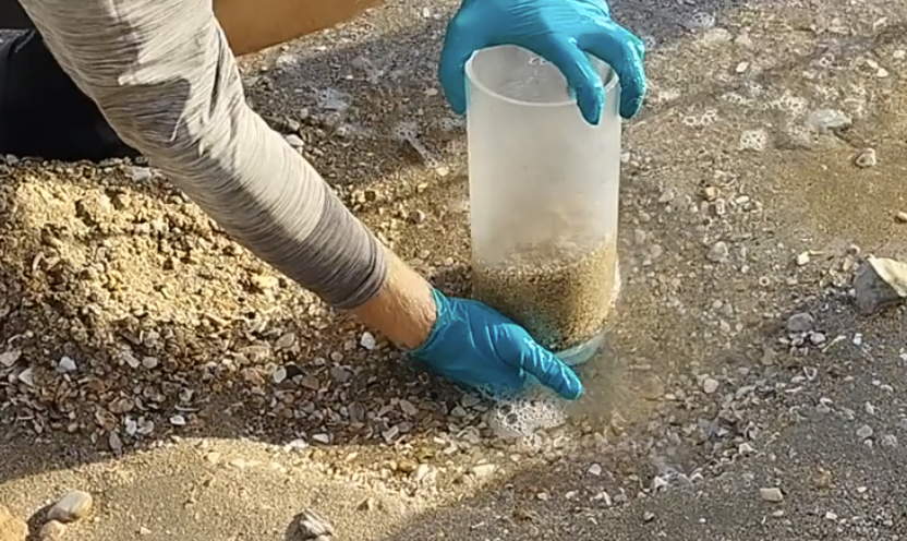 The sediments are sampled using the prepared plastic cylinders called sediment cores, at low tide in areas with tides. To collect the sediments, the cylinders are pressed into the ground as far as their plastic reaches and then closed at the bottom with a rubber stopper. Die Sedimentproben werden in Gebieten mit Gezeiten bei Ebbe mit Hilfe der vorbereiteten Plastikrohre, den sogenannten Sedimentkernen, genommen. Um die Proben zu nehmen, werden die Plastikrohre so weit wie möglich in den Boden gedrückt und dann unten mit einem Gummistopfen verschlossen.