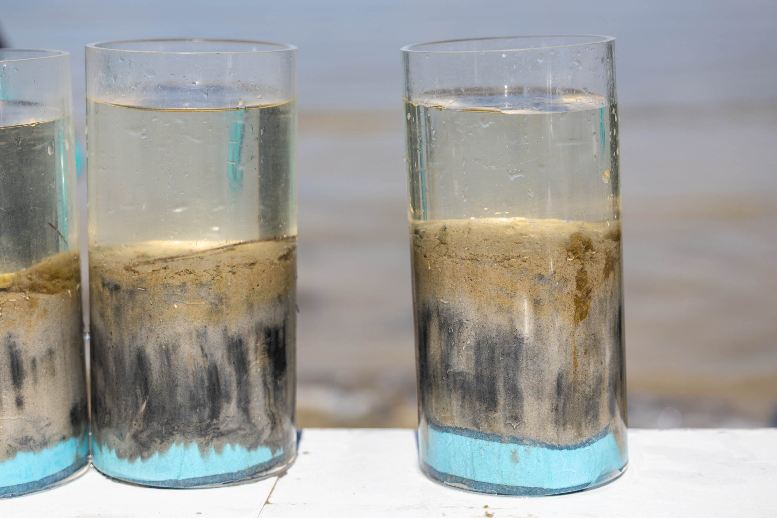 Sandy sediment consists of larger grains that form rooms between the particles for water exchange. This water exchange provides oxygen. In the picture, the lower dark layers below lack oxygen. Sandiges Sediment besteht aus größeren Körnern, die zwischen den Partikeln Räume für den Wasseraustausch bilden. Dieser Wasseraustausch liefert Sauerstoff. Die dunklen Schichten, die im Bild zu sehen sind, sind sauerstoffarme Schichten.