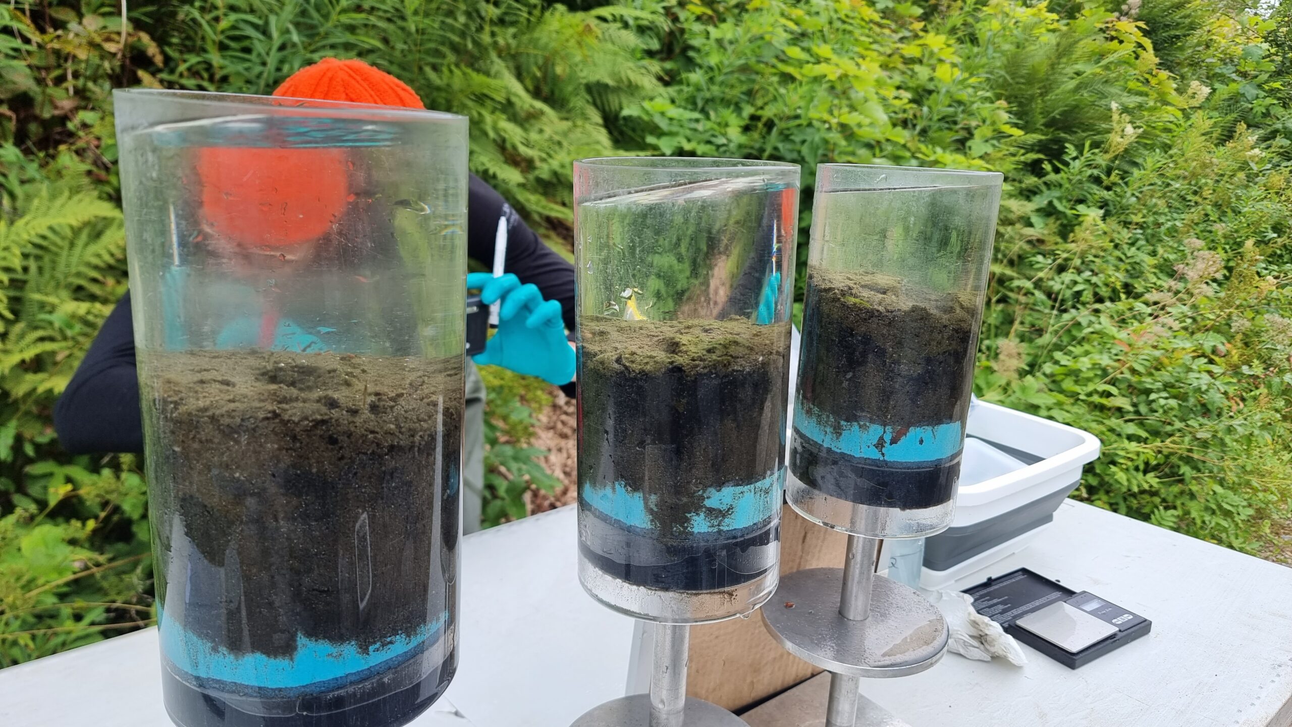 Muddy sediment has smaller grain sizes, high biomass and lacks oxygen already in the upper sediment layers (dark color). Schlammiges Sediment besteht aus kleineren Körnern, hat eine hohe Biomasse und ist bereits in den oberen Schichten sauerstoffarm (dunkle Farbe).