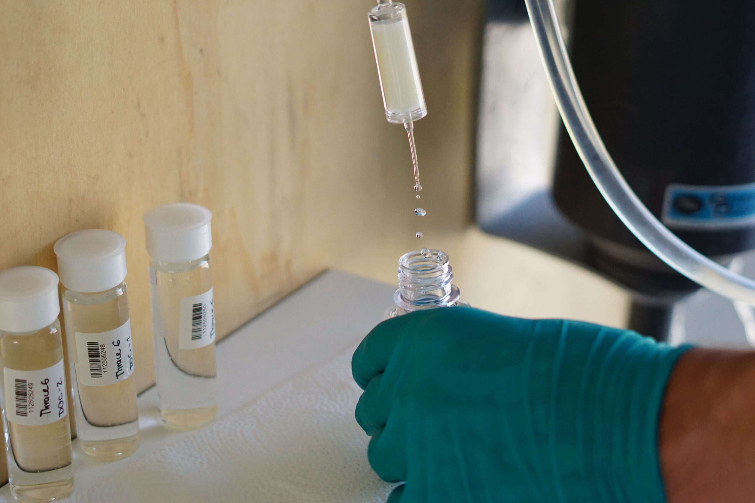 One example of the processing of a water sample is filtering out undissolved organic material from the sample and further analysing the remaining sample. Ein Beispiel für die Probenverarbeitung von Wasserproben ist das Herausfiltern von ungelöstem organischem Material und anschließend die weitere Analyse der verbleibenden Wasserprobe.