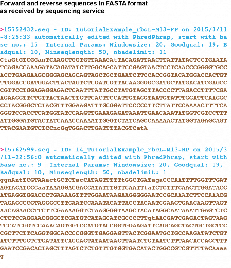 Bioinformatics tutorial EMBL ELLS