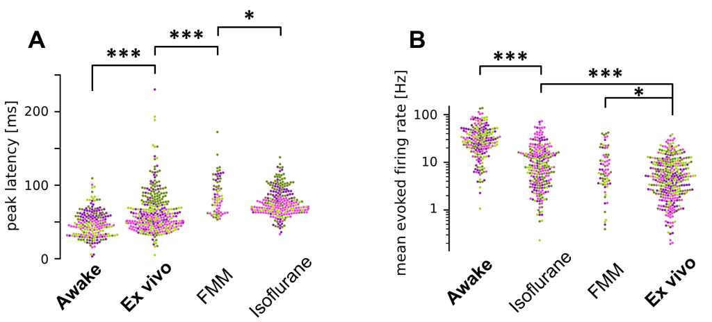 Figure 2: Characterization of retinal output in vivo.